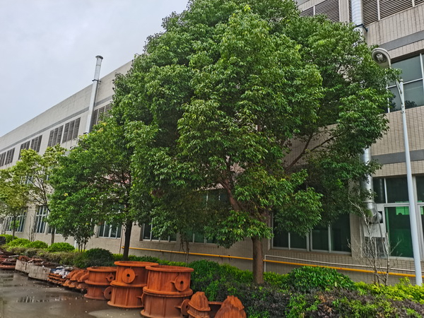 企業(yè)形象